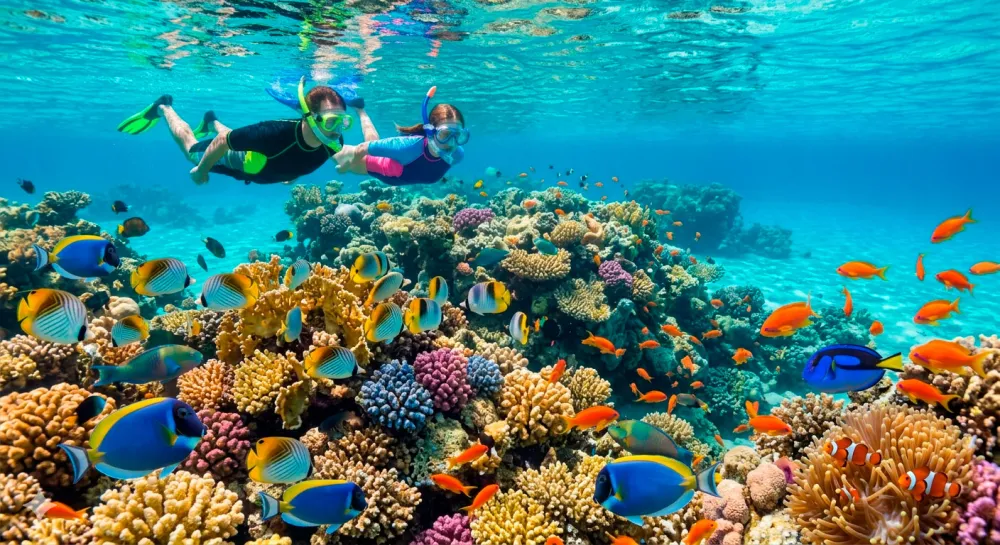 Из Перми в Шарм-эш-Шейх — за незабываемым дайвингом